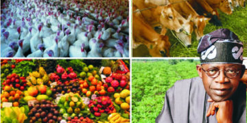 Nigeria’s agricultural development: The journey so far