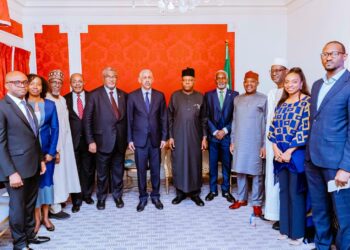 UNGA: Minister seeks AfDB’s support on funding Nigeria’s great green wall project