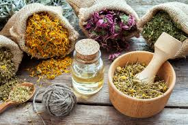 Pharmacists seek PHC status, herbal medicine integration