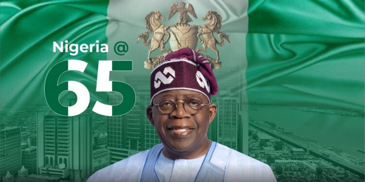 Nigeria @ 65: Strengthening the economy through foreign investment