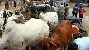 Kogi govt to rehabilitate 9 livestock markets
