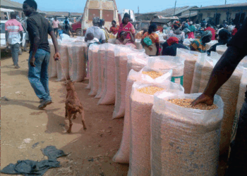 What kind of economic model have you adopted?” he asked.