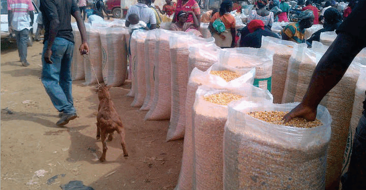 What kind of economic model have you adopted?” he asked.