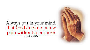 Pain does not block purpose