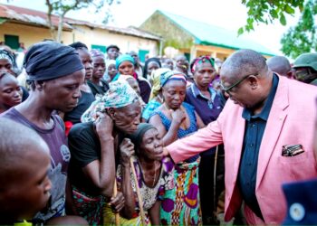 Be committed to protecting lives, property – Mutfwang
