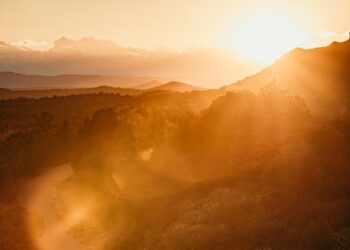Entering the Desert with Christ This Lent