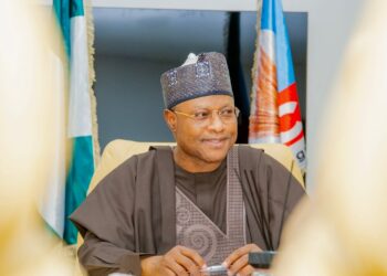 Women with mechanised farming critical — Governor Sani