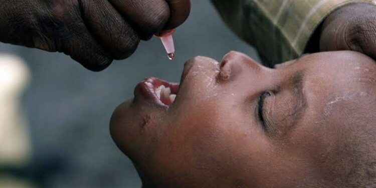 Kaduna targets zero missed children in polio campaign