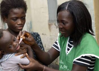 NIPDs campaign targets 1.4 m Adamawa children