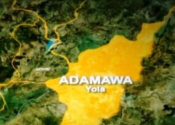 46-year-old man commits suicide in Adamawa
