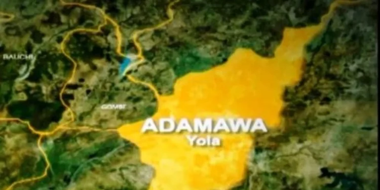 Police arrest two over abduction of Adamawa minor
