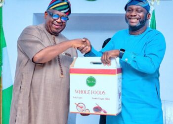 PLSG signs MoU with BOI to establish ₦4 bn matching fund for MSMEs