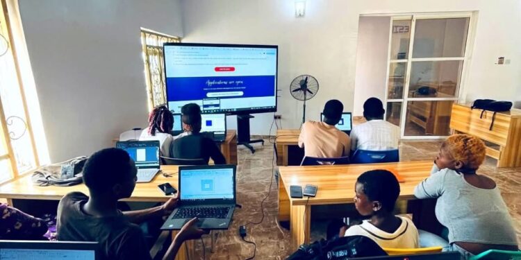 Rural innovation hubs: A new engine for Nigeria’s youth economy