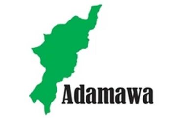 Suspected Boko Haram terrorists kill 28 in Adamawa