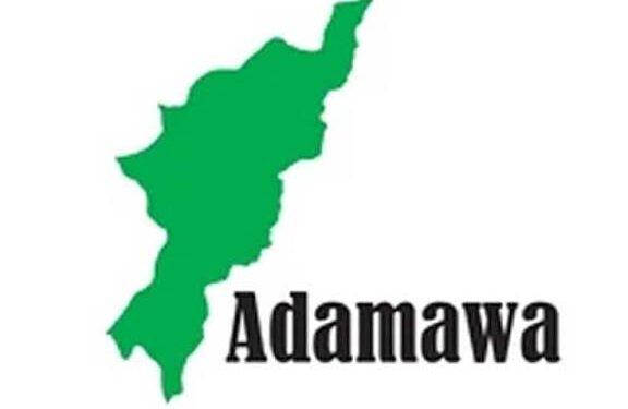 Suspected Boko Haram terrorists kill 28 in Adamawa