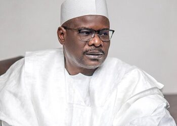Ndume and the burden of courage in troubled times