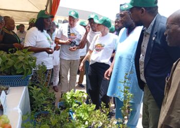 Plateau targets agribusiness growth at horticulture fiesta