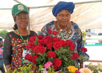 Plateau women thrive in horticulture despite funding challenges
