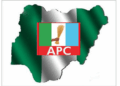 APC’s nationwide primaries: Progress, power struggles, controversies