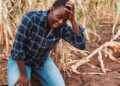 Beyond the harvest: Urgent case for food, seed conservation in Nigeria