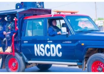 NSCDC arrest armed bandit in Taraba, recover pistol, cartridges
