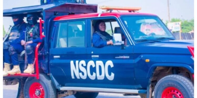 NSCDC arrest armed bandit in Taraba, recover pistol, cartridges