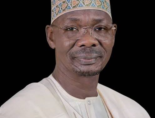 Why Nasarawa North needs Abdullahi Sule in the Senate