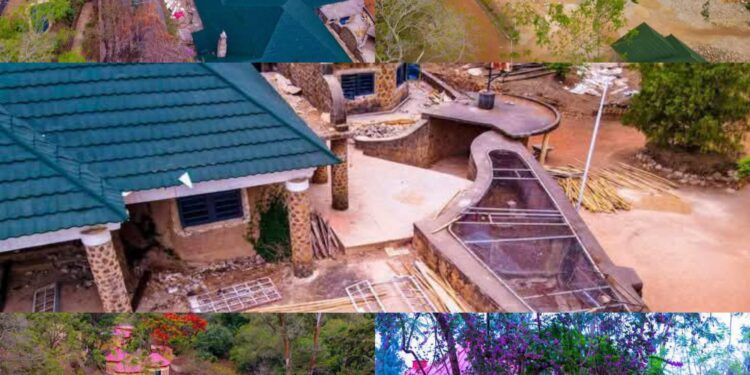 Jos Wildlife Park rebirth signals new era for Plateau tourism