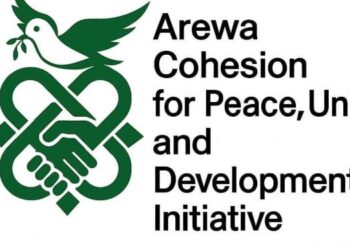 Democracy Day: Arewa group advocates issue-based campaigns ahead of 2027