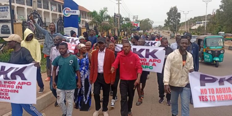 Tongshinen petitions APC over Reps primary election