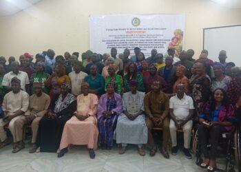 Plateau drives fight against child abuse, trafficking with local c’ttees