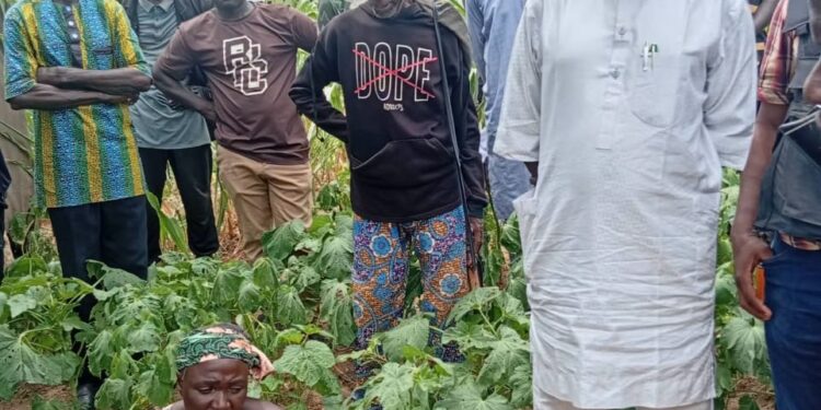 Gunmen kill four, abduct woman in Adamawa