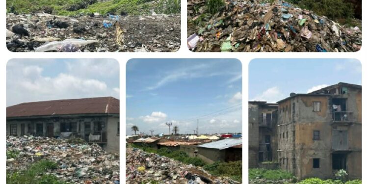 Monarch, experts seek Kaduna dump site conversion into temporary shops