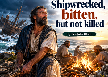 Shipwrecked, bitten, but not killed