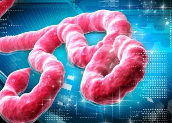 Ebola case confirmed in Abuja, 44 contacts identified