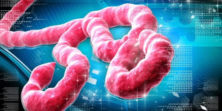 Ebola case confirmed in Abuja, 44 contacts identified
